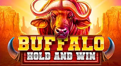 Buffalo Hold & Win